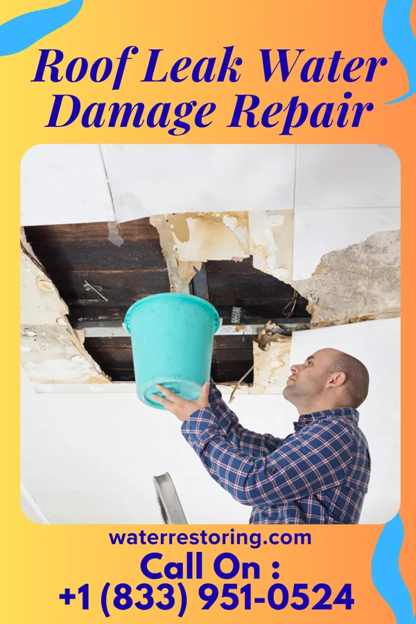 Roof Leak Water Damage Repair in St. Peter, IL